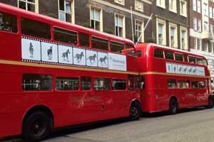 Branded Bus