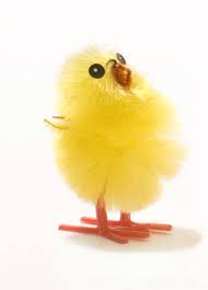 Easter Chick