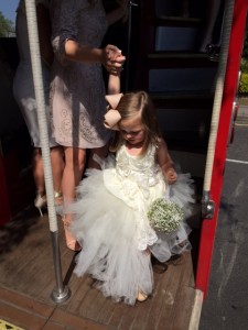 Lisa's Wedding, July 2015