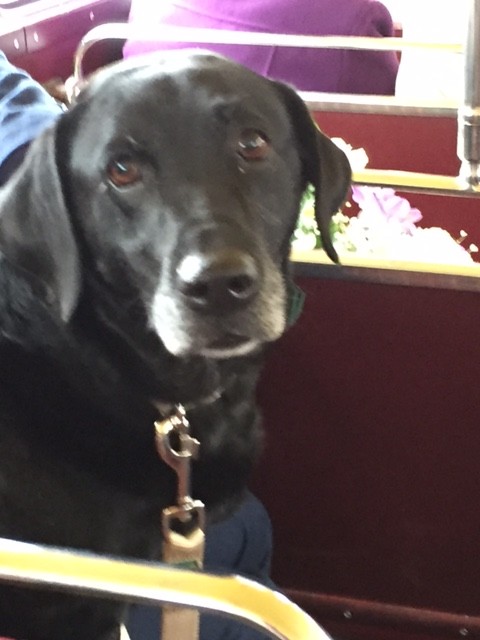 Ring Bearer 27.2.16